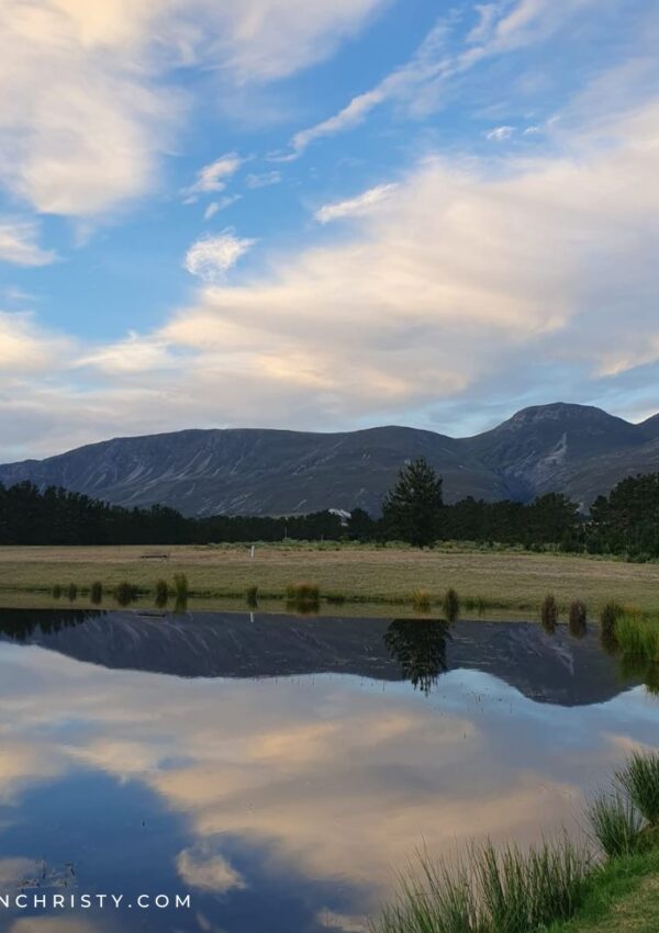 Vancouver to Cape Town: A Spectacular Homecoming After Two Years Abroad